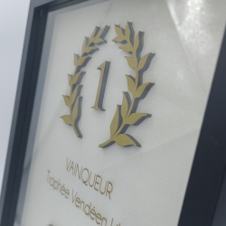 Trophée Cadre 3D personnalisé